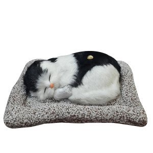 Soft Cute music Cat with Matt